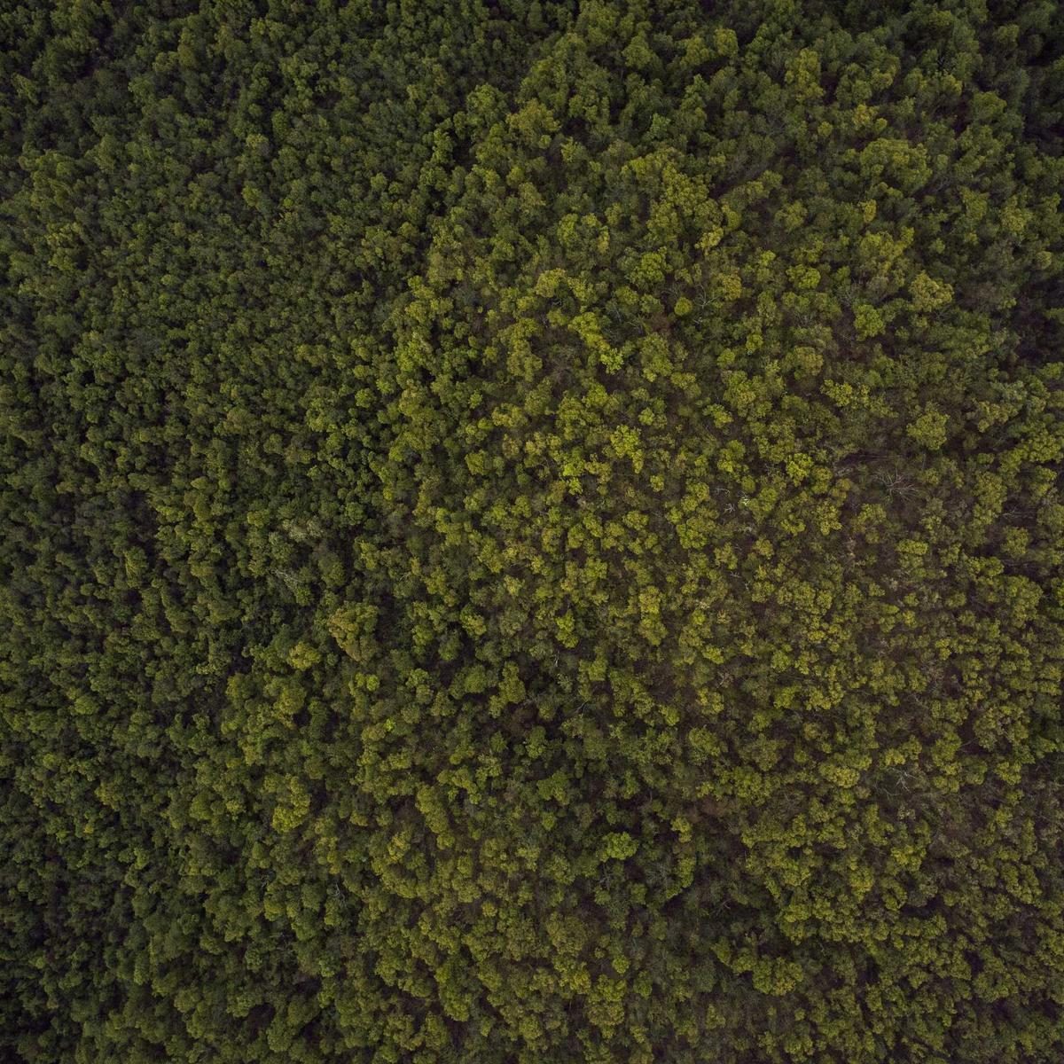 Picture 6 of 6